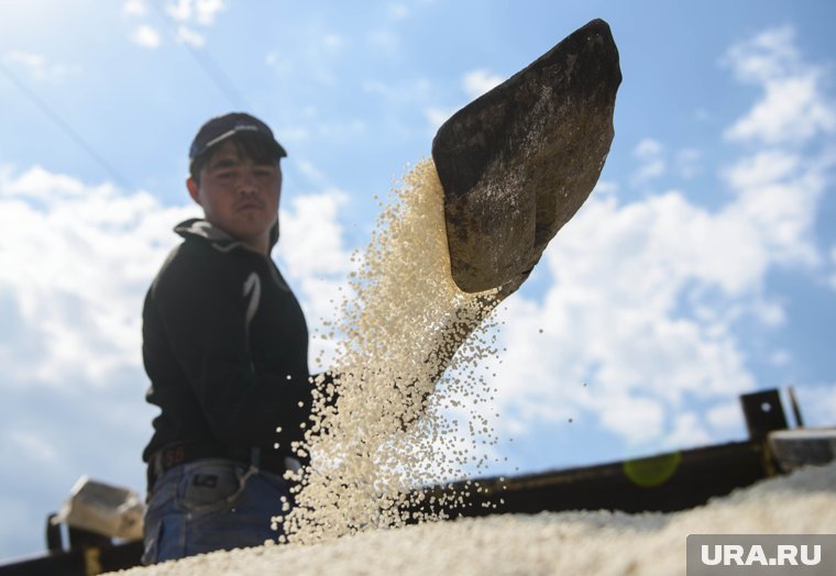 Кому Россия продает удобрения, кроме США