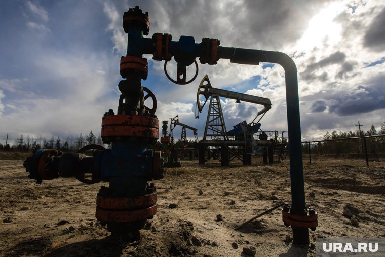 Владелец нефтяных компаний из ХМАО зарегистрировал еще один актив