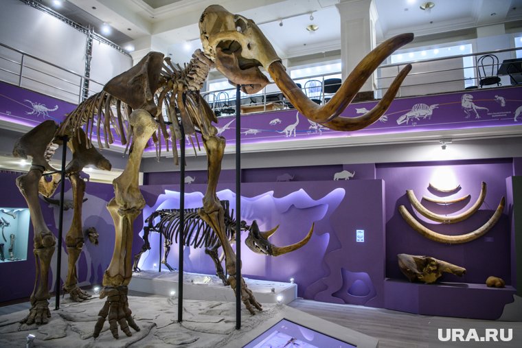 Популярному музею в ЯНАО добавят мультимедийных экспозиций