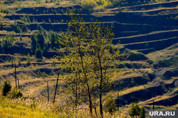 Челябинский холдинг «Мечел» обвалил добычу угля на 28%