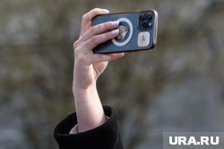 Бытовая техника и смартфоны подешевели в Курганской области