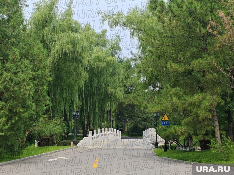 Живописное место с многовековой историей: фотографии резиденции Путина в Пекине