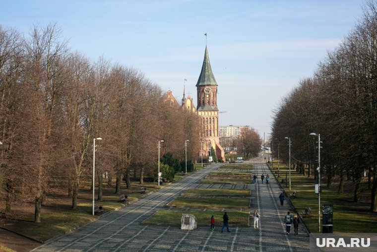 «Кишка тонка»: в Госдуме ответили на угрозы НАТО уничтожить Калининградскую область