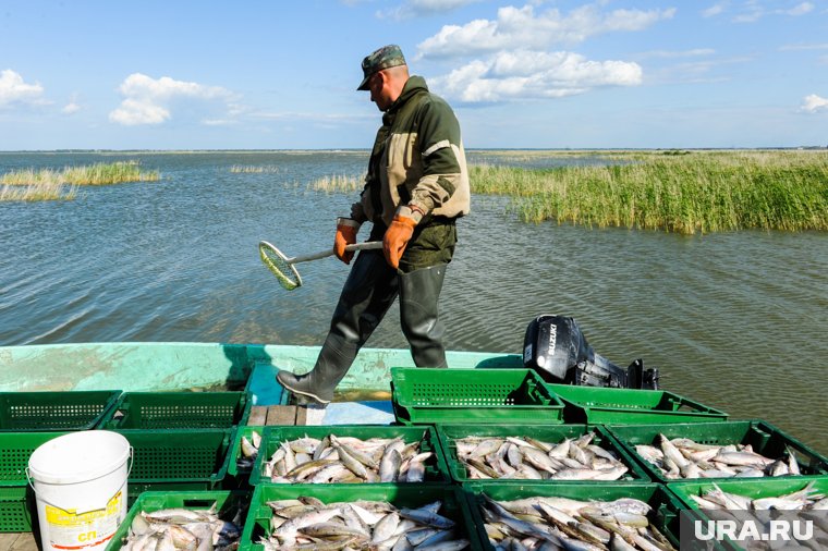 Ямальский рыбозавод через суд потребует 10 млн рублей