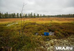 Руководитель поисков Усольцевых в тайге объяснил, почему семью до сих пор не нашли