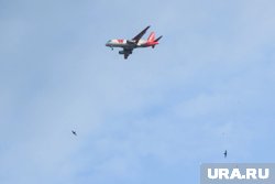 Более 60 самолетов задержано в Сочи. Скрин