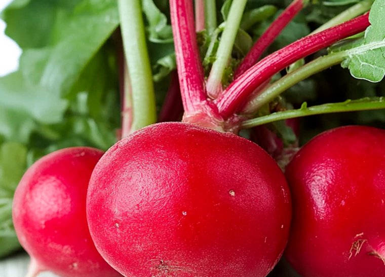 Когда сажать редис по лунному календарю в мае 2025 года