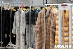 Курганцы скупали пальто и дубленки в середине лета. Инфографика