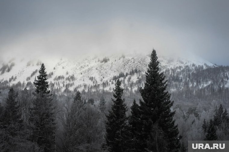 Поиски семьи Усольцевых в Красноярском крае приостановлены: что будет с ними дальше