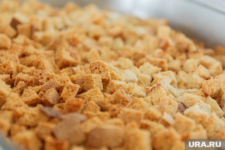 РБК: жену владельца «Кириешек» добавили в иск об экстремистском сообществе