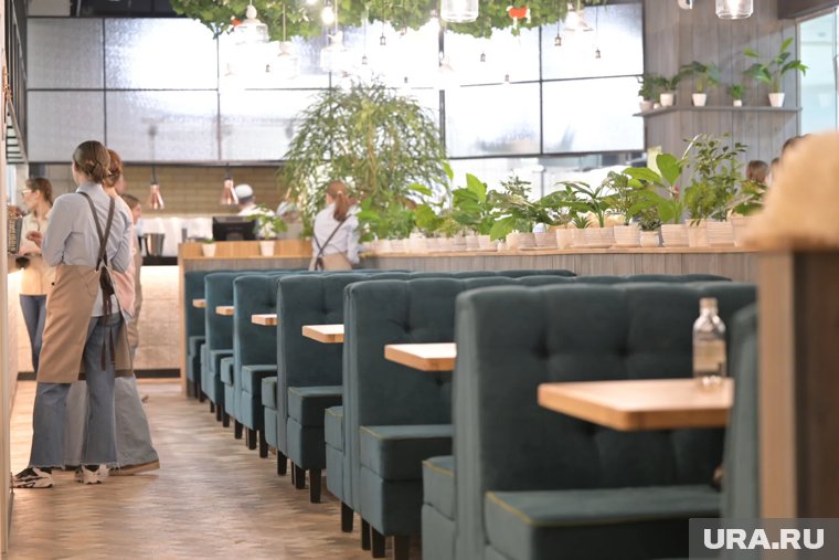 Московские инвесторы планируют построить сеть семейных ресторанов в Кургане