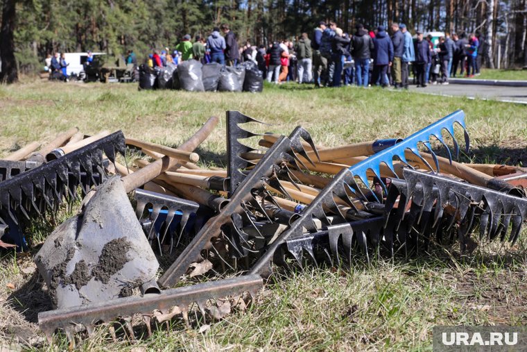 На Ямале начались субботники «Зеленая Россия» в Муравленко