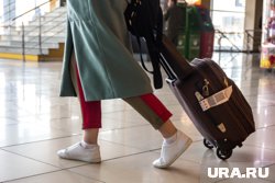 Как многодетной семье сэкономить на путешествиях: льготы и субсидии