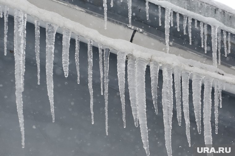 Прошедшая зима стала второй самой теплой в Кургане за 132 года. Скрин