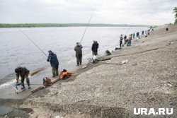 Хариус и налим: где и какую рыбу в Пермском крае можно поймать летом