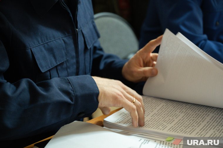 Чем известен отдел курганского СУ СК, где назначен новый руководитель 