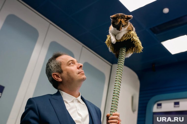 Шоу кошек, мастер-классы и спектакли: где провести время челябинским школьникам на осенних каникулах. Афиша