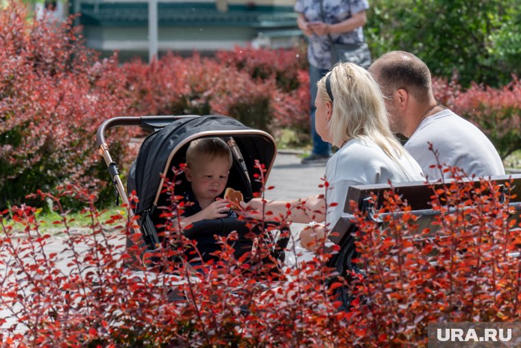 Все детские пособия в 2025 году: что и кому положено