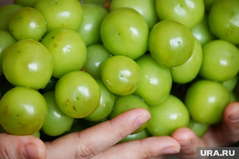 Гигантский виноград из Китая обвалился в цене в магазинах ХМАО