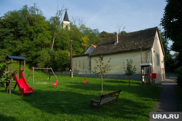 Как правильно посеять газон: от подбора травы до первой стрижки