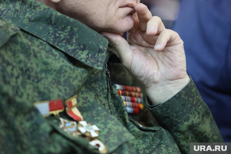 В Кургане организуют «горячую линию» для участников СВО и ветеранов