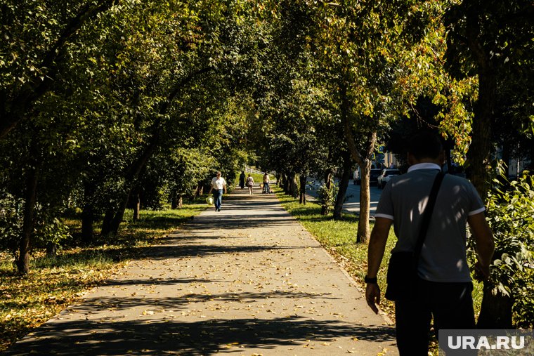 В европейской части России сентябрь будет теплее нормы