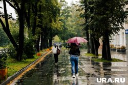 Похолодание и дожди: все о погоде в Москве и Петербурге с 15 по 21 сентября