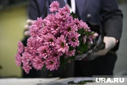 Мошенники стали обманывать россиянок под видом цветочных магазинов