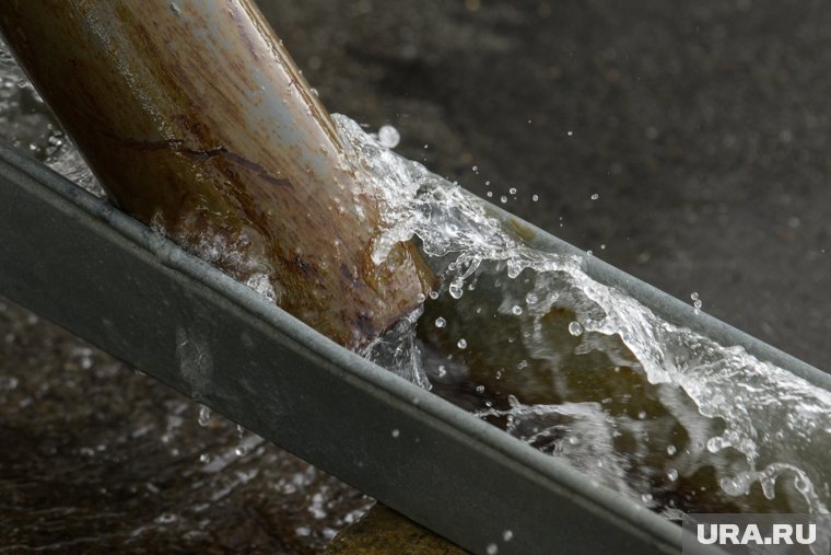 Как спасти огород после сильных дождей