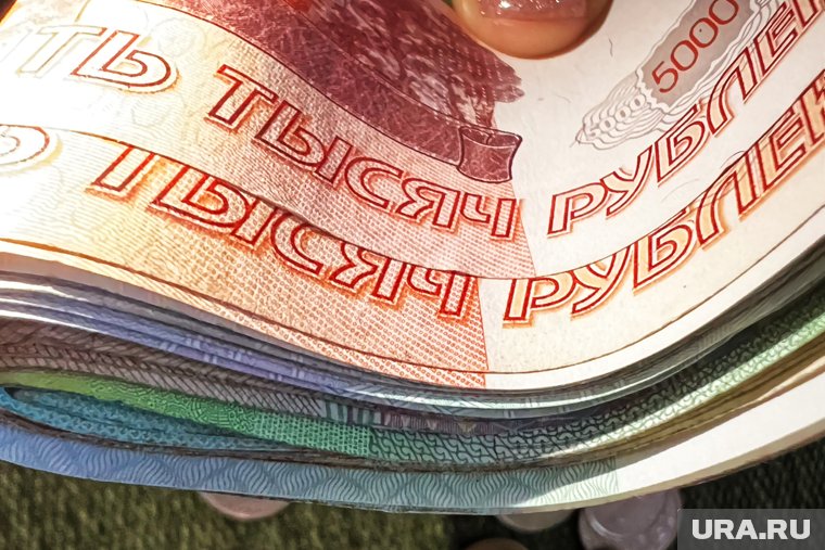 Главам курганских округов запретили брать кредиты в банках. Инсайд