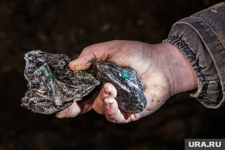 Эксперт объяснил, почему предложение Путина о металлах для Трампа выгоднее, чем украинское