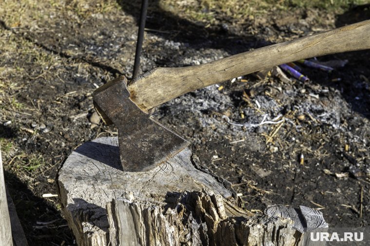 Суд ЯНАО отправил маньяка с топором в психическую лечебницу