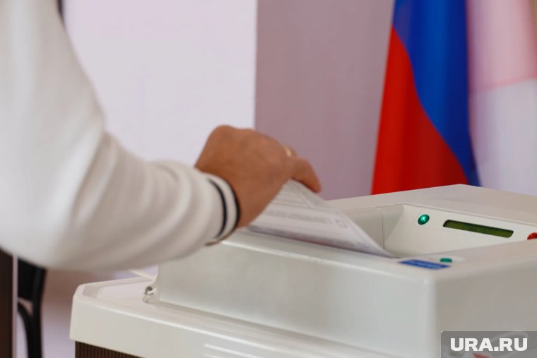 Финишная прямая курганских выборов: превью этапов, которые начнутся после голосования