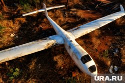 Россия сбила около десятка украинских БПЛА возле Брянска: карта атак беспилотников за 20 мая