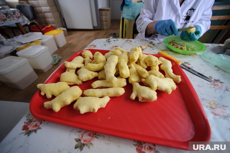 Чем опасен имбирь: кому стоит держаться подальше от продукта