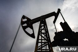 Трамп объявил торговую войну: пошлины в 50% на Индию из-за нефти из РФ