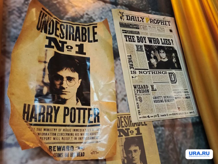 Обняться с Добби и поколдовать: екатеринбуржцы нашли способ окунуться в мир Гарри Поттера. Фото
