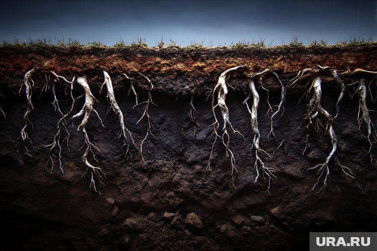 В каких регионах будет дефицит осадков в конце лета