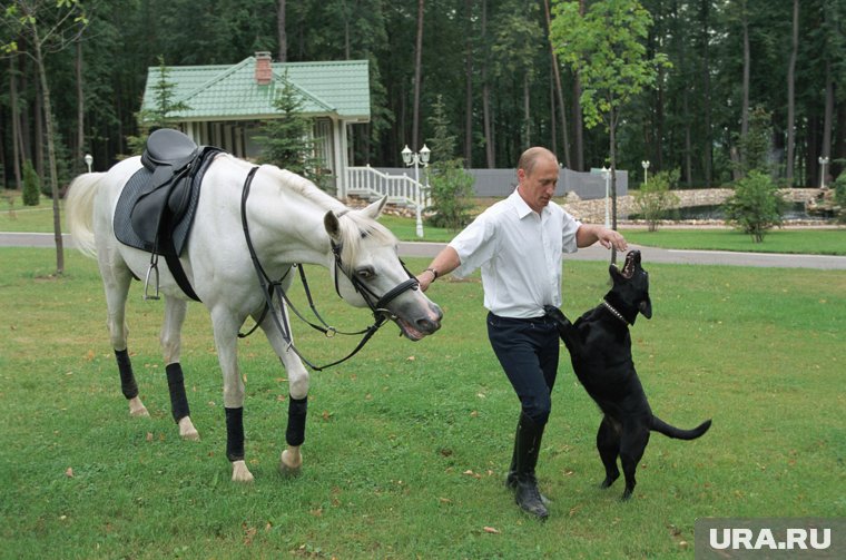 Владимиру Путину исполняется 73: как троечник стал разведчиком, изменил Россию и весь мир