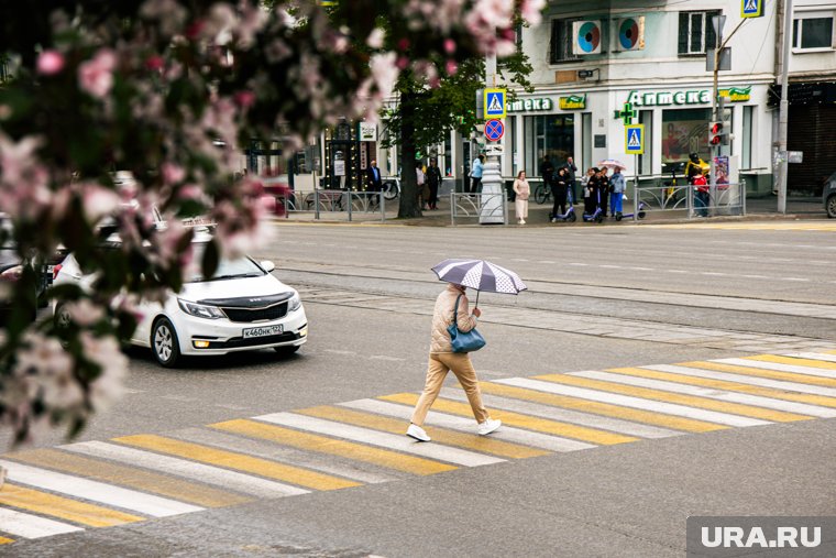 В ЯНАО иномарка сбила человека на пешеходном переходе