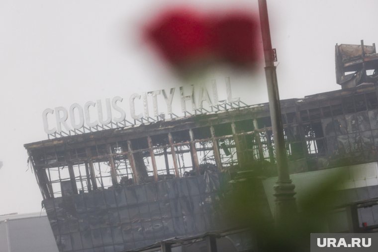 Потерпевшие по делу о теракте в «Крокусе» подали более 30 исков