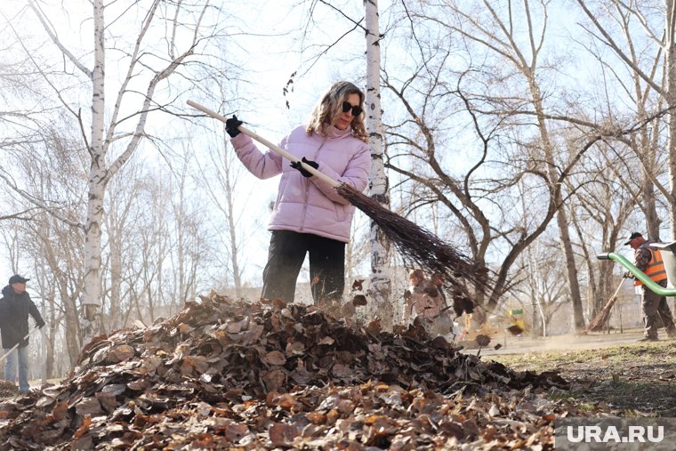 Курганцы стали меньше мусорить