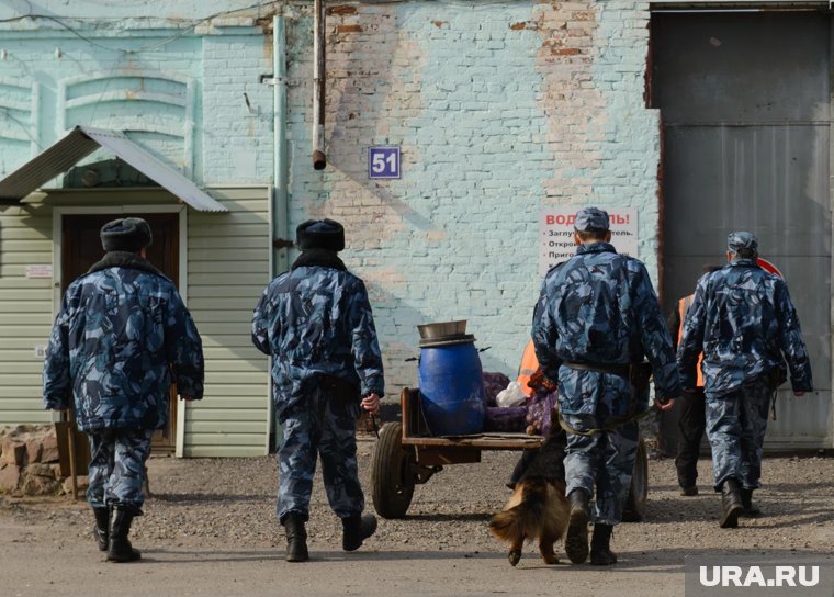 Курганских сестер Камшиловых на двух машинах доставили из СИЗО домой
