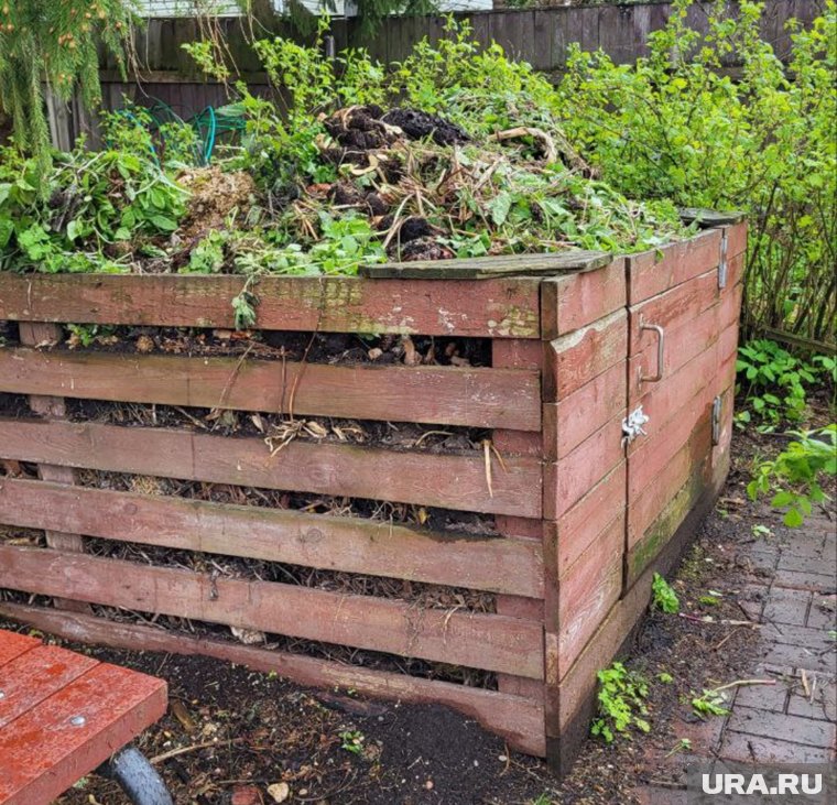 Как использовать компост в качестве удобрения: советы садовода