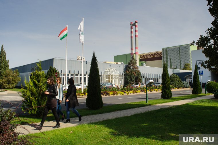 «Нормализация отношений»: американист объяснил, почему США частично сняли санкции с России