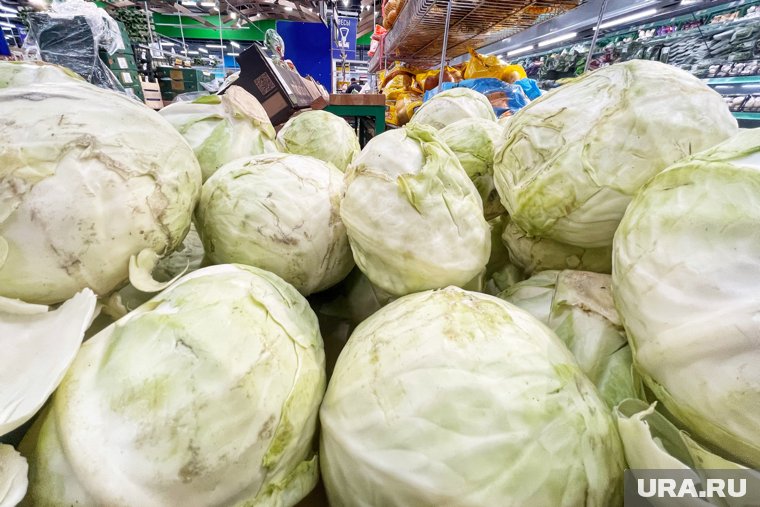 Капуста возглавила рейтинг самых подешевевших овощей и фруктов в Кургане. Инфографика