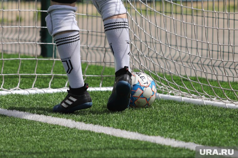 Футбол, пробежки и боулинг: URA.RU узнало, каким спортом занимаются курганские политики