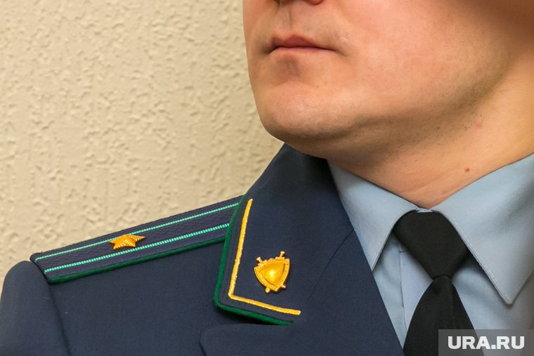 Прокуратура наказала директора гимназии, которая конфликтует с мэром Александровска