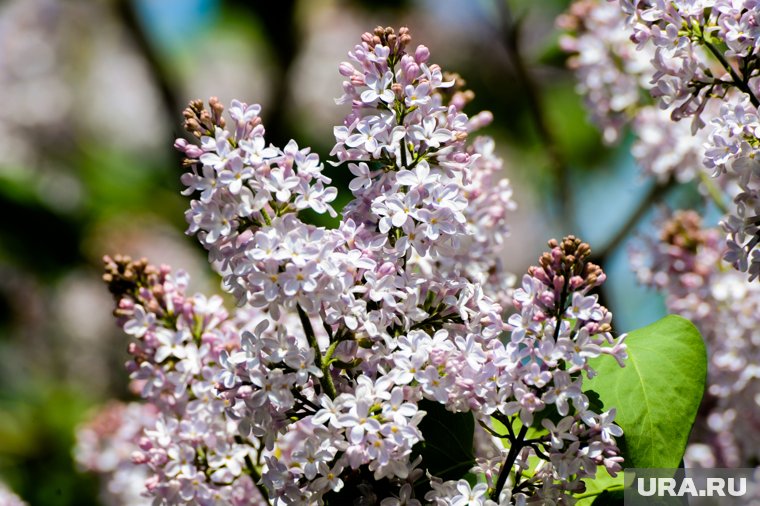 Синоптик рассказал о потеплении до плюс 20 градусов