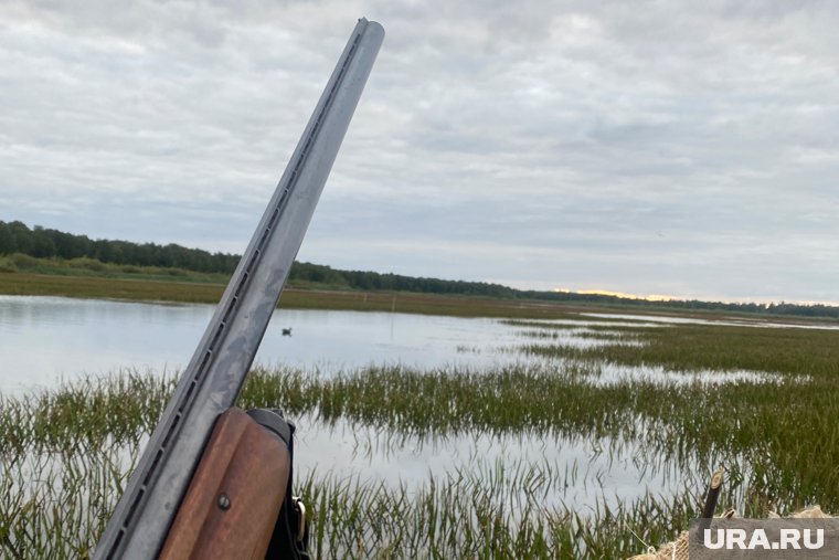 На кого разрешено охотиться в Курганской области в 2025 году